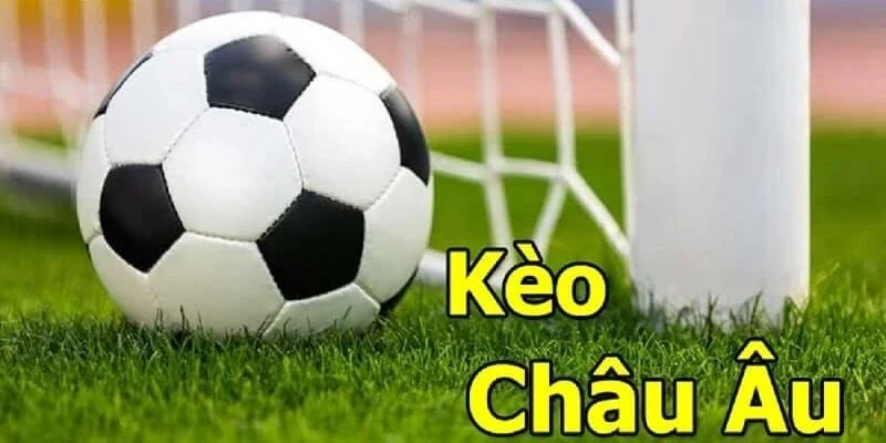 Kết hợp giữa chiến thuật cùng kinh nghiệm